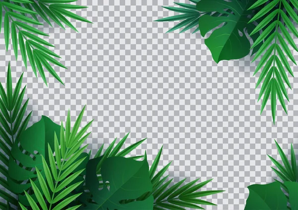 Привіт Літо, літній час. Тло тропічних рослин. Palm Le — стоковий вектор