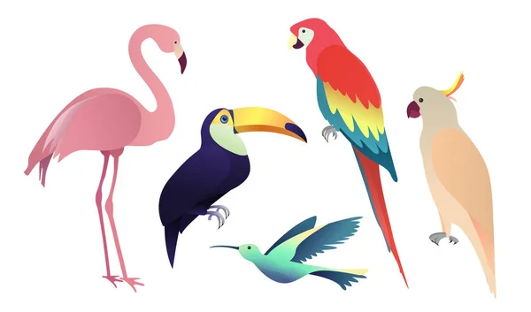 Set di uccelli tropicali: pappagalli, fenicotteri e tucano. Collezione sullo sfondo bianco. Illustrazione vettoriale — Vettoriale Stock