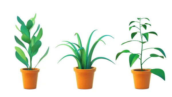 Ensemble vectoriel chlorophytum et ficus de plantes d'intérieur en pot, vue frontale réaliste de l'arbre. Illustration 3D verte d'une plante d'intérieur isolée sur fond blanc — Image vectorielle