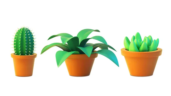 Vector zet kamerplant cactus en sappig in pot, realistische boom vooraanzicht. 3D Illustratie groen van binnenplant geïsoleerd op witte achtergrond — Stockvector