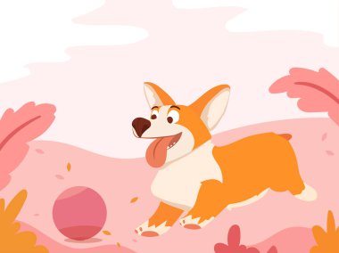Komik küçük Corgi parkta yürüyor..