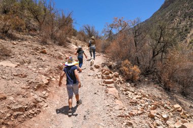 Bir grup insan köpekleriyle Cennet Vadisi Agadir Fas 'ta yürüyüşe çıktı..