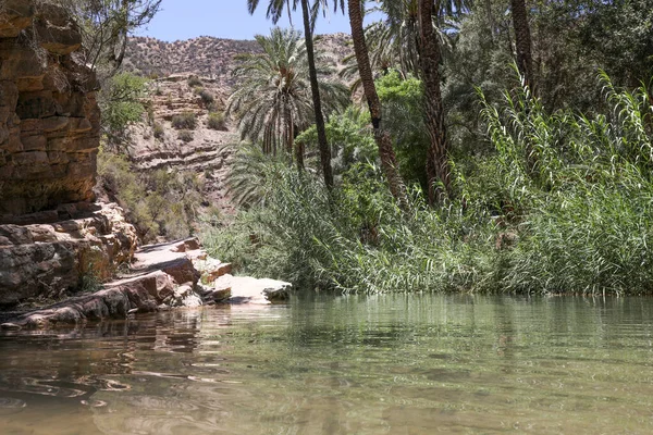 Dammen Paradise Valley Agadir Marocko — Stockfoto