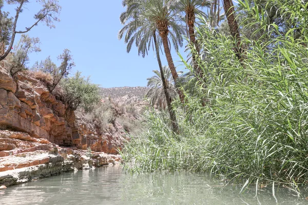 Pond in Paradise Valley. Agadir Morocco.