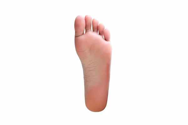 Beautiful Female Legs Feet White Background — Stock Photo, Image