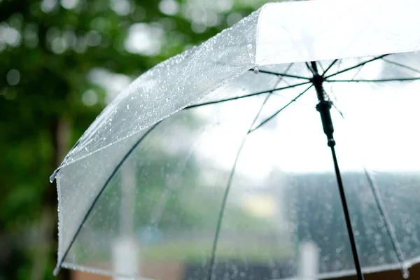 Vrouwen Lopen Regen Hand Van Vrouwen Met Een Paraplu — Stockfoto