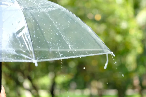 Regenachtergrond Paraplu Achtergrond — Stockfoto