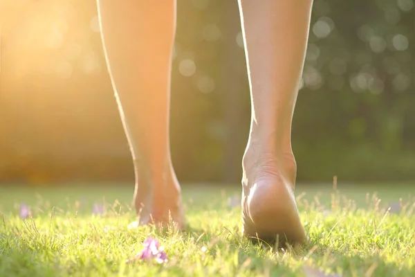 Kadın bacağı yere düştü. O, sabahleyin egzersiz yapmak için çimenlerde yürümek üzeredir. Sağlık ve Rahatlama Konseptleri