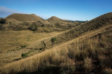 Bondowoso, 26 Temmuz 2015 Doğu Java / Endonezya Raung Dağı püskürmesi lav ve kül püskürtür. Kurak mevsimde Savannah Wurung Krateri 'nden (Kawah Wurung) alınmıştır..