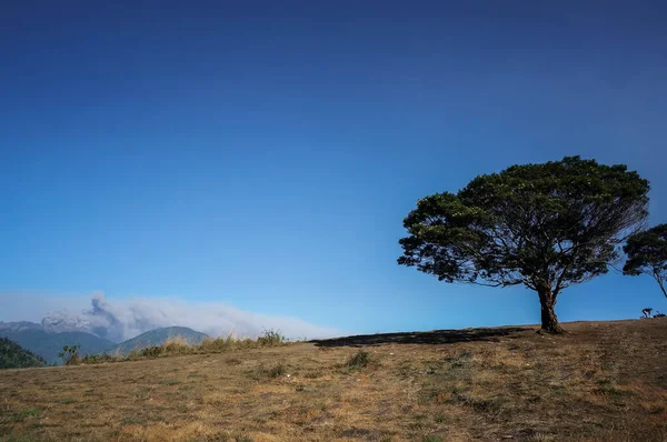 Bondowoso Juli 2015 Östra Java Indonesien Mount Raung Utbrott Spyr — Stockfoto