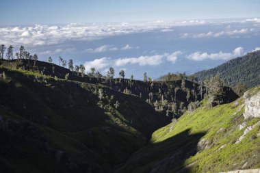 Bondowoso yakınlarındaki Caldera Kawah Ijen volkanından en yakın volkanik koniye Baluran Ulusal Parkı, Java Adası, Endonezya