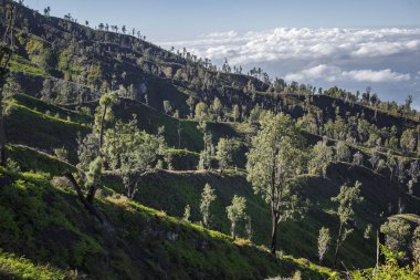 Bondowoso yakınlarındaki Caldera Kawah Ijen volkanından en yakın volkanik koniye Baluran Ulusal Parkı, Java Adası, Endonezya