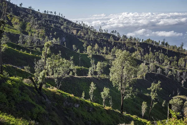 Utsikt Från Caldera Kawah Ijen Vulkanen Nära Bondowoso Till Närmaste — Stockfoto
