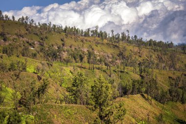 Bondowoso yakınlarındaki Caldera Kawah Ijen volkanından en yakın volkanik koniye Baluran Ulusal Parkı, Java Adası, Endonezya