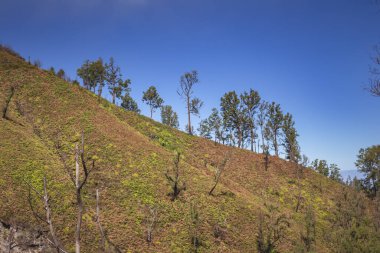 Bondowoso yakınlarındaki Caldera Kawah Ijen volkanından en yakın volkanik koniye Baluran Ulusal Parkı, Java Adası, Endonezya