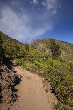 Bondowoso yakınlarındaki Caldera Kawah Ijen volkanından en yakın volkanik koniye Baluran Ulusal Parkı, Java Adası, Endonezya
