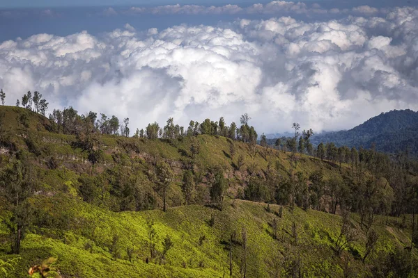Bondowoso yakınlarındaki Caldera Kawah Ijen volkanından en yakın volkanik koniye Baluran Ulusal Parkı, Java Adası, Endonezya