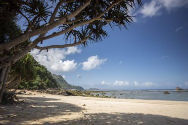 Endonezya 'nın Banyuwangi kentindeki Kızıl Ada sahili. Java 'nın popüler seyahat yeri. Yaz tatili geçmişi.