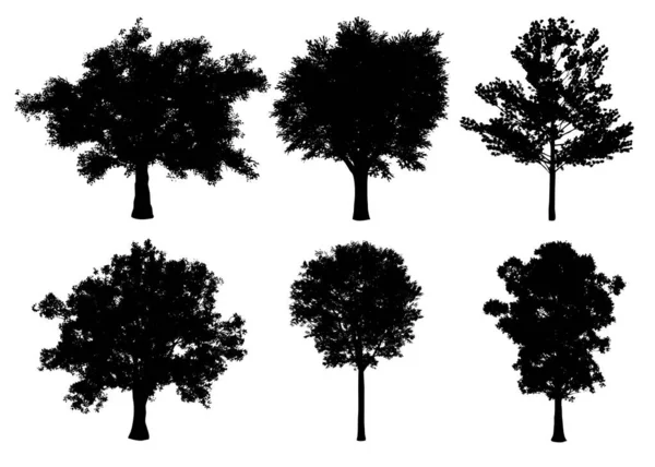 Schöne Sammlung Baum Silhouetten Und Schnitt Auf Weißem Hintergrund Mit — Stockfoto