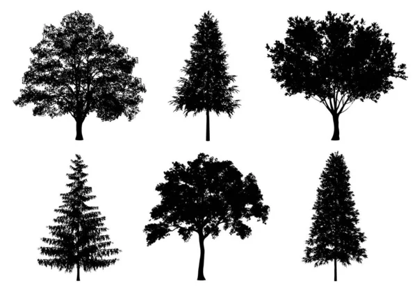 Beautiful Collection Tree Silhouettes Cutting White Background Clipping Path — Stock Photo, Image