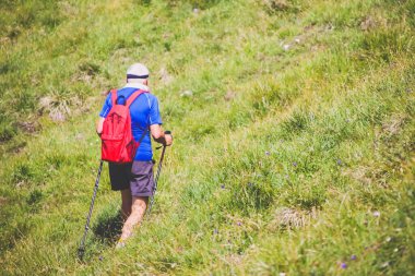 Yaşlı adam yazın ormanda yürüyüş yapıyor..