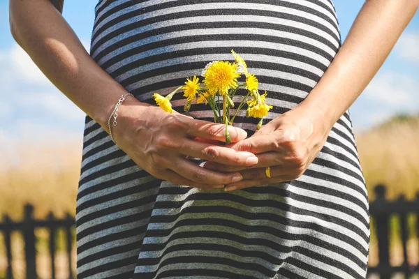 Pregnant Woman Hands Give Yellow Wild Flowers Sunny Meadow Blue — Stock Photo, Image