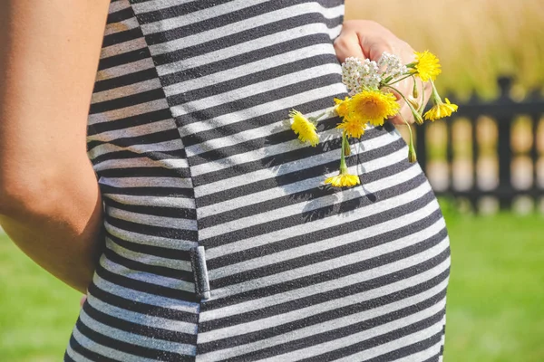 Pregnant Woman Hands Give Yellow Wild Flowers Sunny Meadow Blue — Stock Photo, Image