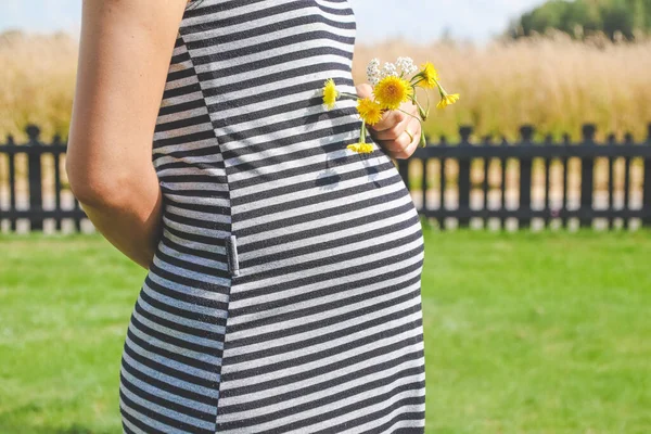 Tangan Wanita Hamil Memberikan Bunga Liar Kuning Dengan Padang Rumput — Stok Foto
