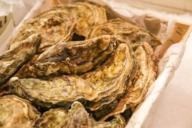 Pazarda taze istiridye var..