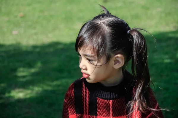 草の背景と幸せの瞬間にかわいいアジアの女の子の肖像 子供たちはセーターを着て — ストック写真