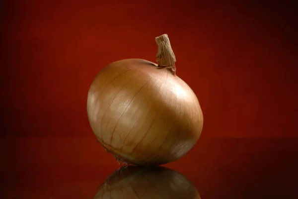 One Brown Golden Onion Black Orange Background Reflection Table — Stock Photo, Image