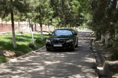 Şehirdeki ağaçlar arasında araba sürüyor, güneşli bir gün, ön manzara.