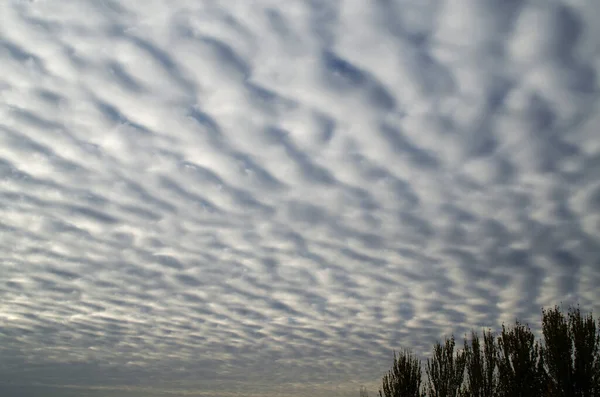 Céu Está Coberto Nuvens Exuberantes Fundo Textura Imagem De Stock