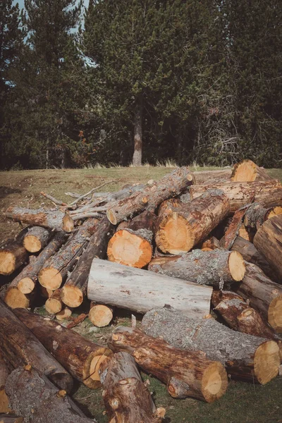 Tronchi Albero Lasciati Sul Pavimento Nelle Campagne Della Valle Ordesa — Foto Stock