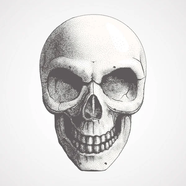 Vector human skull on light background — Stock Vector