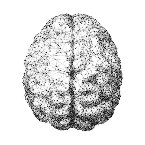 Cerveau Humain Compose Points Reliés Par Des Lignes Vue Dessus — Image vectorielle