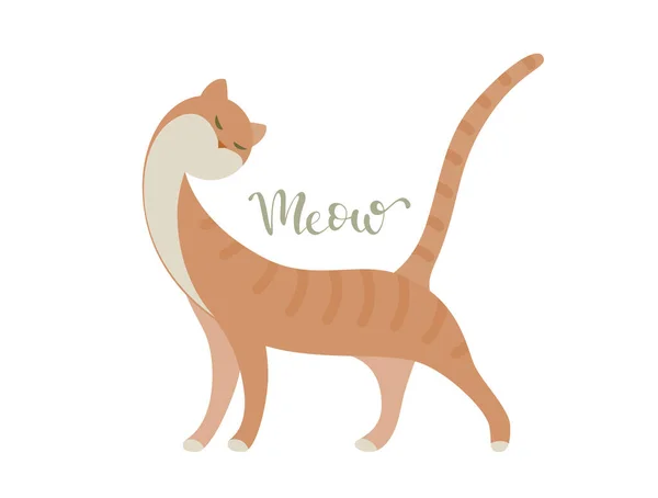 Stojący Pełen Wdzięku Czerwony Kot Napisem Miau Wektor Płaska Ilustracja — Wektor stockowy