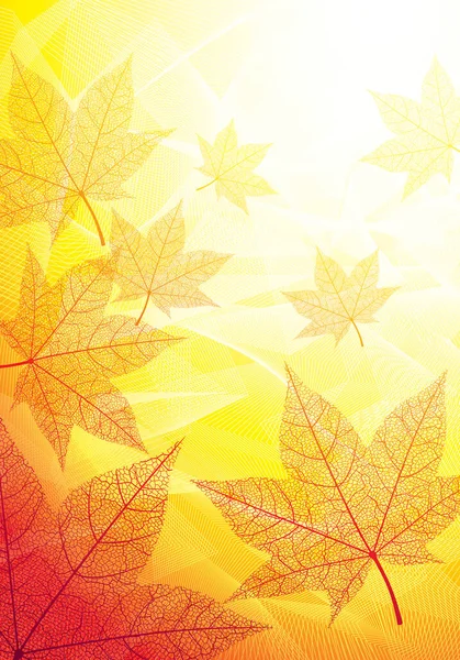 Abstarct Herfst Achtergronden Met Esdoorn Bladeren Eps8 Cmyk Globale Kleuren — Stockvector