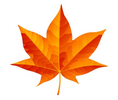 Soyut turuncu sonbahar yaprağı beyaz arka planda izole edilmiş. - RGB. Genel renkler