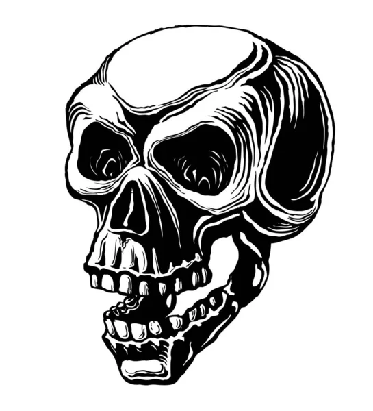Nsan Kafatası Beyaz Arkaplanda Izole Edilmiş Siyah Beyaz Vektör Çizimi — Stok Vektör