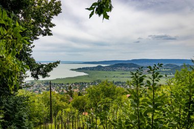 Macaristan, Balaton Gölü 'ndeki Badacsony Tepesinden görüntü