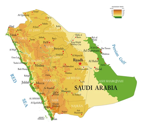 サウジアラビアの非常に詳細な物理地図 ベクトル形式 すべての救済の形で 地域や大都市 — ストックベクタ