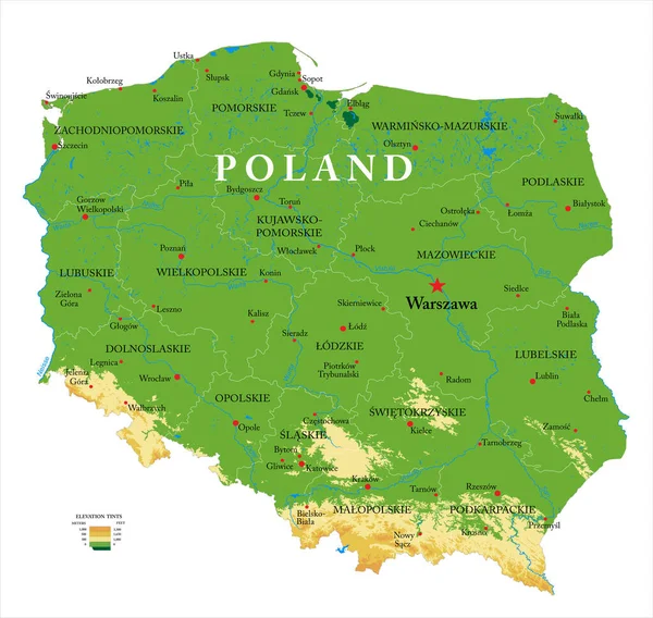 高度详细的波兰物理地图 以矢量格式显示 包括所有的地形 区域和大城市 — 图库矢量图片