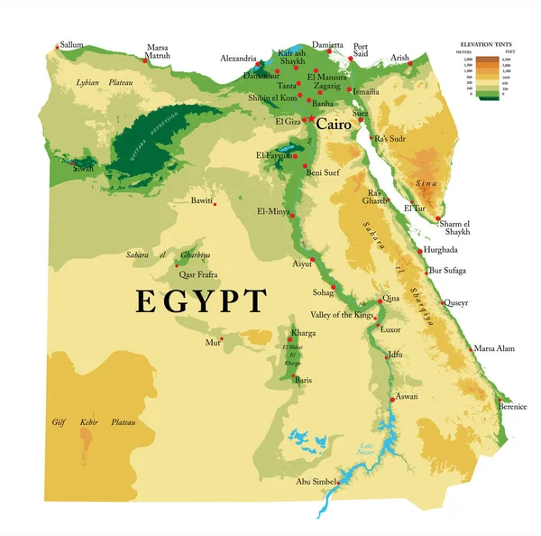 Egypt Vysoce Podrobná Fyzická Mapa Vektorovém Formátu Všemi Reliéfními Formami — Stockový vektor