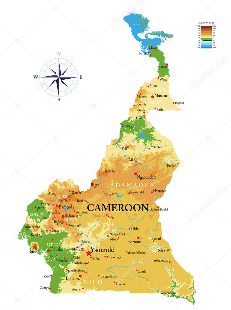 Cameroon highly detailed physical map,in vector format,with all the relief forms,regions and big cities.