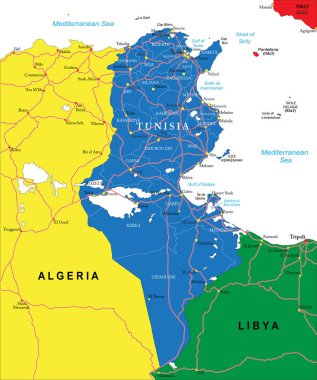 İdari bölgeleri, ana şehirleri ve yolları olan Tunus 'un son derece ayrıntılı vektör haritası.