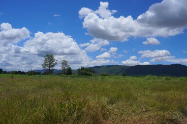 Dağ eteklerinde tarım manzarası