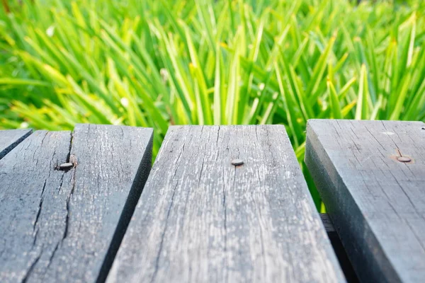 Alter Holzboden Hintergrund Grüner Frühling — Stockfoto