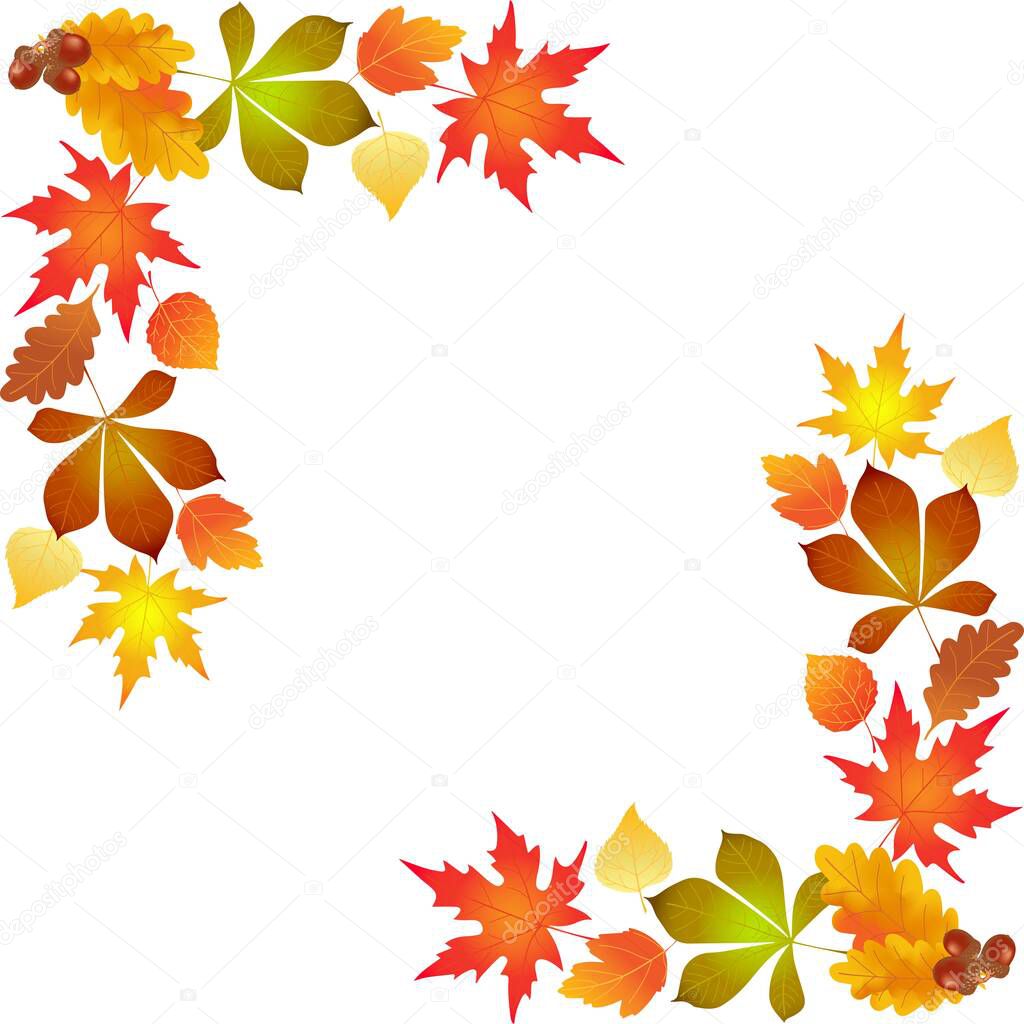 autumn leaves, background frame, illustration, vector,