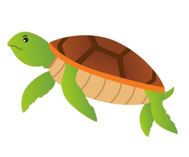 Kaplumbağanın vektör çizimi. Güzel kaplumbağa çizimi